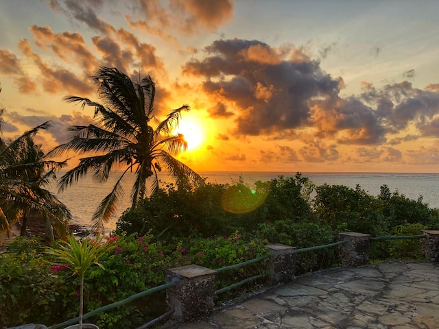 Tours and Travel img